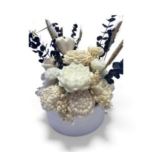 Photoroom 20251105 202933